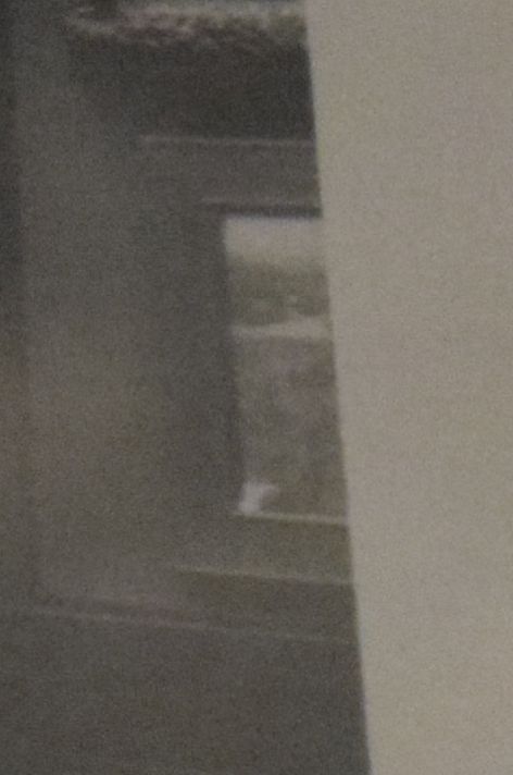 2 painting at bottom right of photo